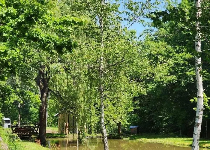 Ognjiste * Prokuplje